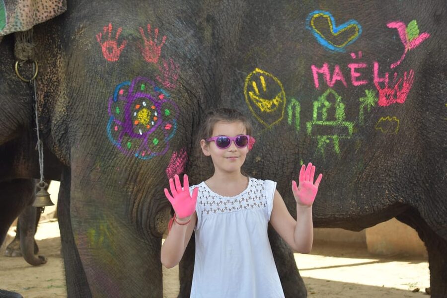 Elefun Best Elephant Sanctuary in Jaipur - Time for tea, guided tour, and a breather
