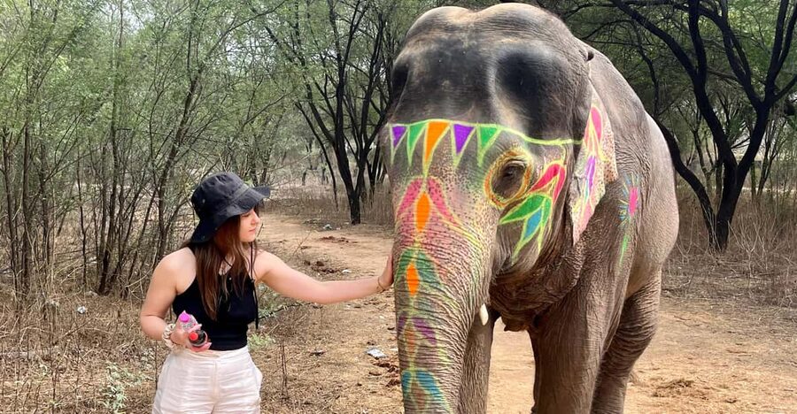 Elefun Best Elephant Sanctuary in Jaipur - The 3-hour flow, from pickup to calm goodbyes
