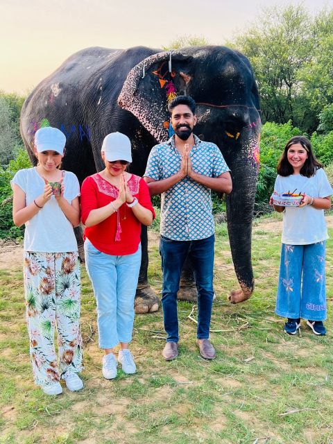 Elephant Sanctuary for Best elephant experience in Jaipur - Timing, guides, and the small details that shape your day