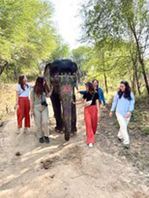 Elephant Sanctuary for Best elephant experience in Jaipur - Eco-friendly sanctuary setup and the idea of personal space