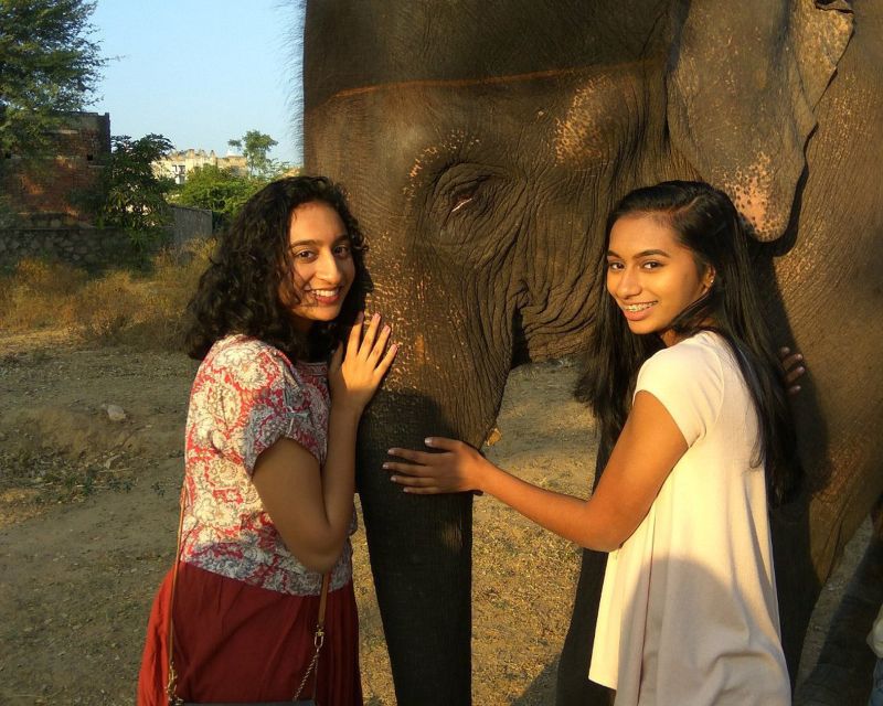 Elephant Sanctuary for Best elephant experience in Jaipur - No riding: feeding and walking that keeps things ethical