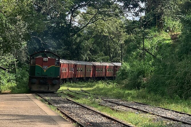 Ella Private Day Tour - Departing from Any Location in Sri Lanka - Pickup and the long drive problem you should plan for