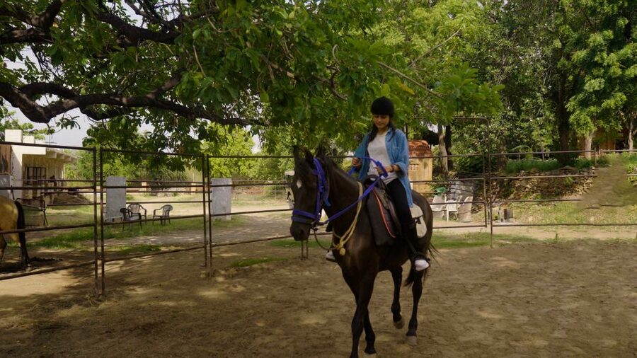 Equestrian Escape: Horse Safari Adventure - Practical Stuff to Plan Before You Go