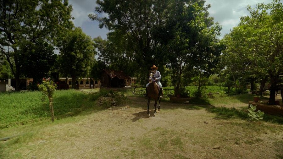 Equestrian Escape: Horse Safari Adventure - The Riding Lesson That Builds Confidence, Step by Step