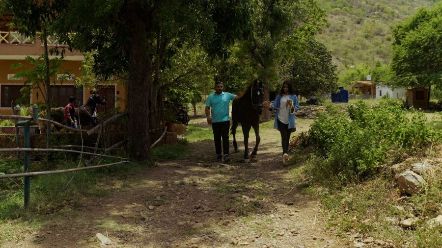Equestrian Escape: Horse Safari Adventure - The Off-the-Radar Trail Ride Around Udaipur’s Countryside