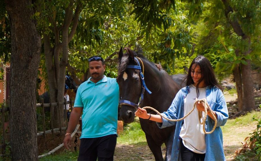 Equestrian Escape: Horse Safari Adventure - Private Group Time With English and Hindi Support