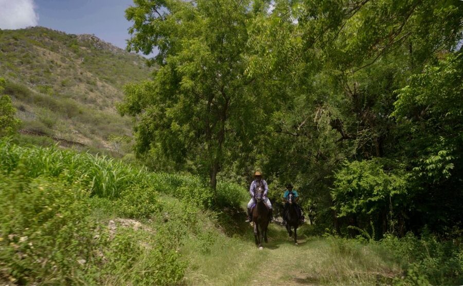 Equestrian Escape: Horse Safari Adventure - What the Rancher Teaches You Before You Ride