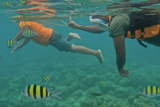 Experience Andamans® - 6 Days Andaman Tour Package with Havelock & Neil - Elephant Beach Snorkeling on Day 3, Plus Kala Pathar in the Evening