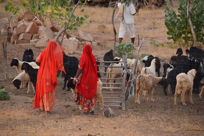 Experience Authentic Desert Villages & Sunset Camel Safari - Key things you will notice right away
