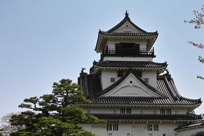 Experience the energy of Kochi: Sunday Market Tour includes Kochi Castle - Key highlights to expect
