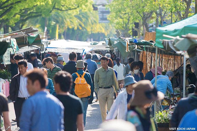 Experience the energy of Kochi: Sunday Market Tour includes Kochi Castle - Getting started: meeting point, pickup, and how the day moves