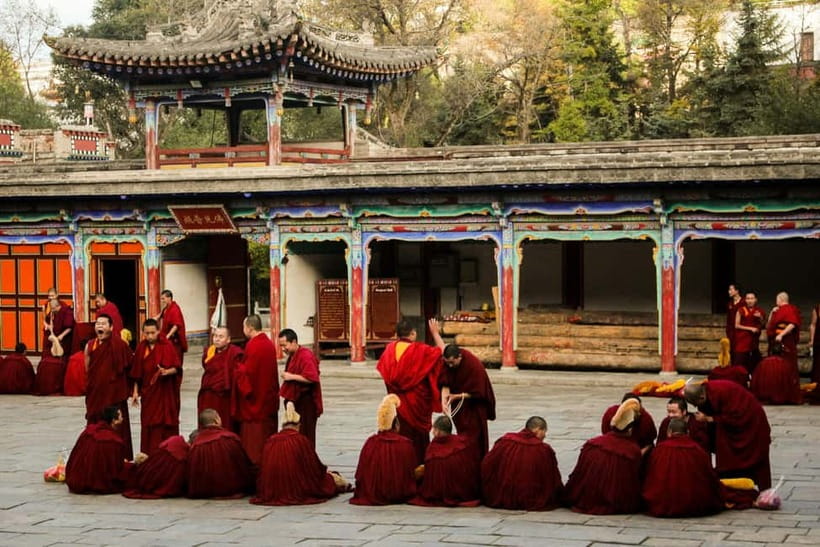 Explore Dharamshala's monasteries for Tibetan spirituality - Your English Guide Makes the Difference