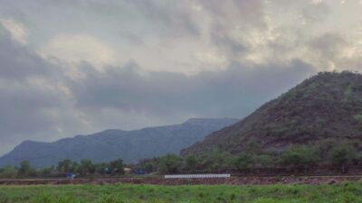 Farm to Table: With a local farmer family