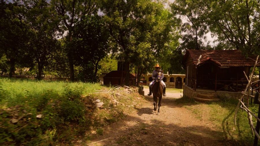 Farm to Table: With a local farmer family - Cultural extras: music, artisans, and possible village stops