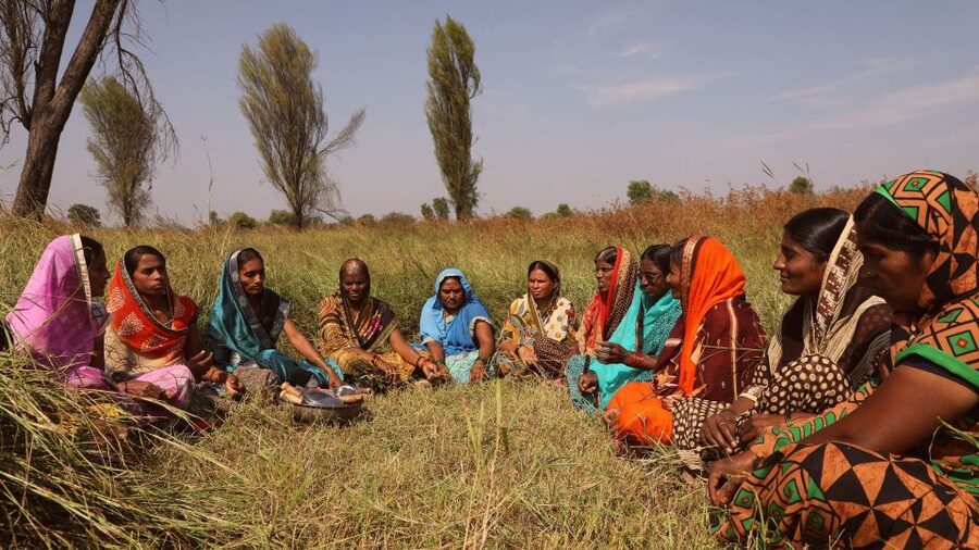 Farm to Table: With a local farmer family - Price and logistics: the practical stuff that affects your day