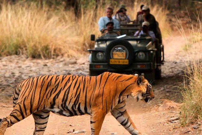 Five Days Golden Triangle Tour with Ranthambore Delhi Agra Jaipur - Golden Triangle plus Ranthambore: the big idea