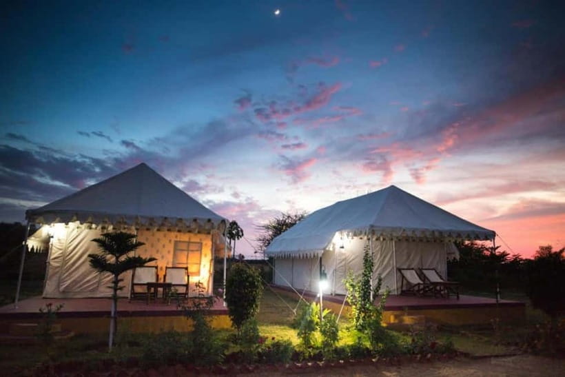 Frenzy Paradise Overnight Thar Desert Camping Tour - Key highlights worth your time