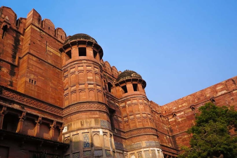 From Agra: Half Day Sunrise Tour of Taj Mahal with Agra Fort - After the Taj: the breakfast break that keeps the day sane