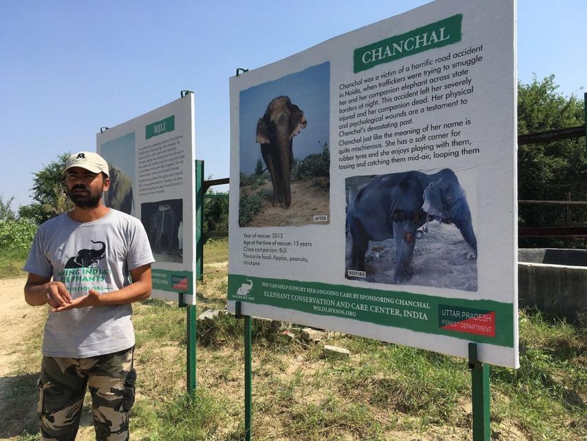 From Agra: Visit to Wildlife SOS Elephant Conservation Trip - The 2-Hour Center Tour: What You’ll Learn and What You Might Feel