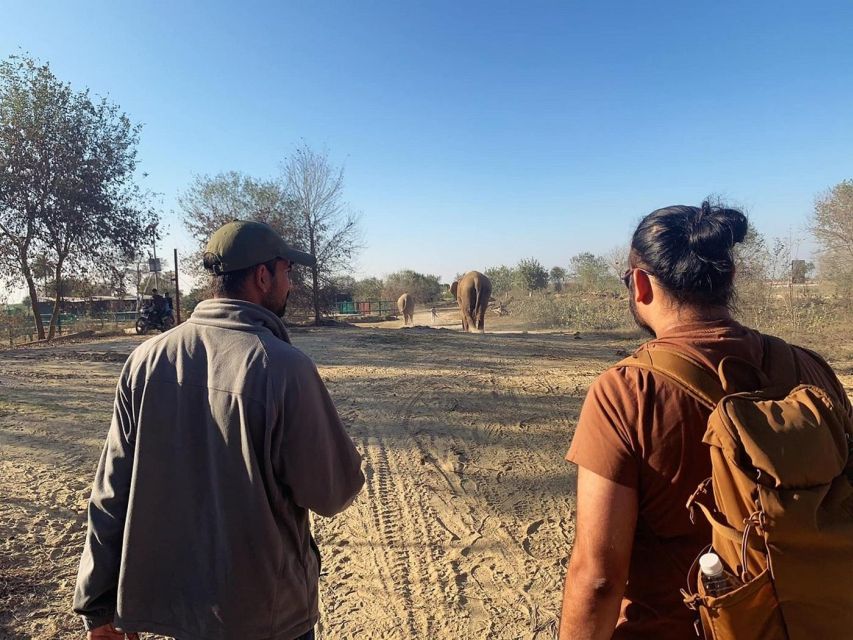 From Agra: Visit to Wildlife SOS Elephant Conservation Trip - Price Breakdown: $26 for the Ride, Plus a Compulsory Ticket