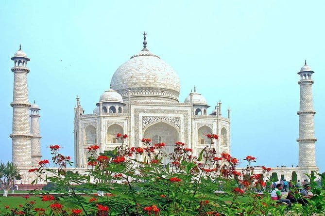 From Delhi: 1-day trip Mathura with Elephant conservation - Group Size, Tickets, and the Little Logistics That Matter
