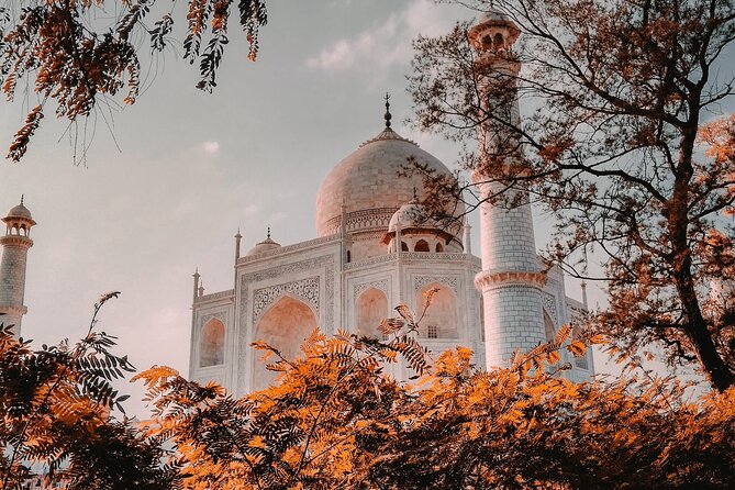 From Delhi : Private Day Trip to Taj Mahal & Agra Fort by Car - All Inclusive - Agra Fort around lunchtime: views, structure, and a good reset
