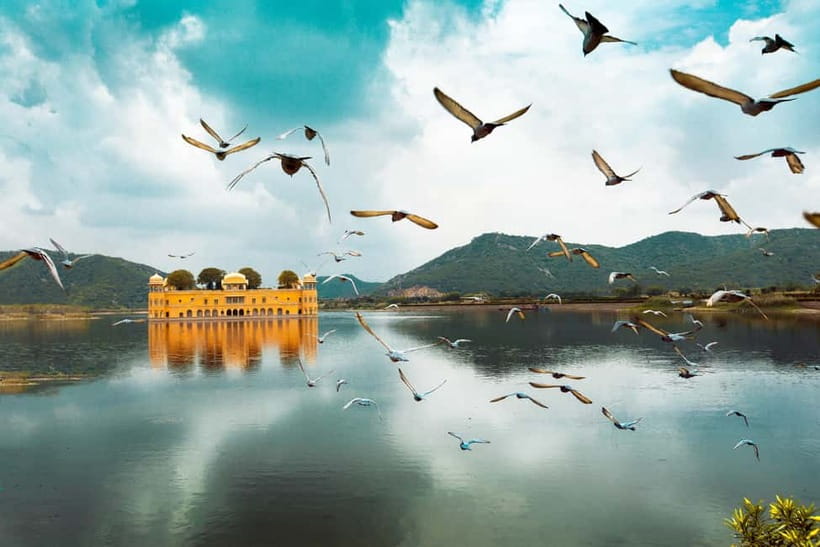 From Delhi: Private Full-Day Jaipur Highlights Tour - Hawa Mahal’s honeycomb façade, plus City Palace’s imperial rooms