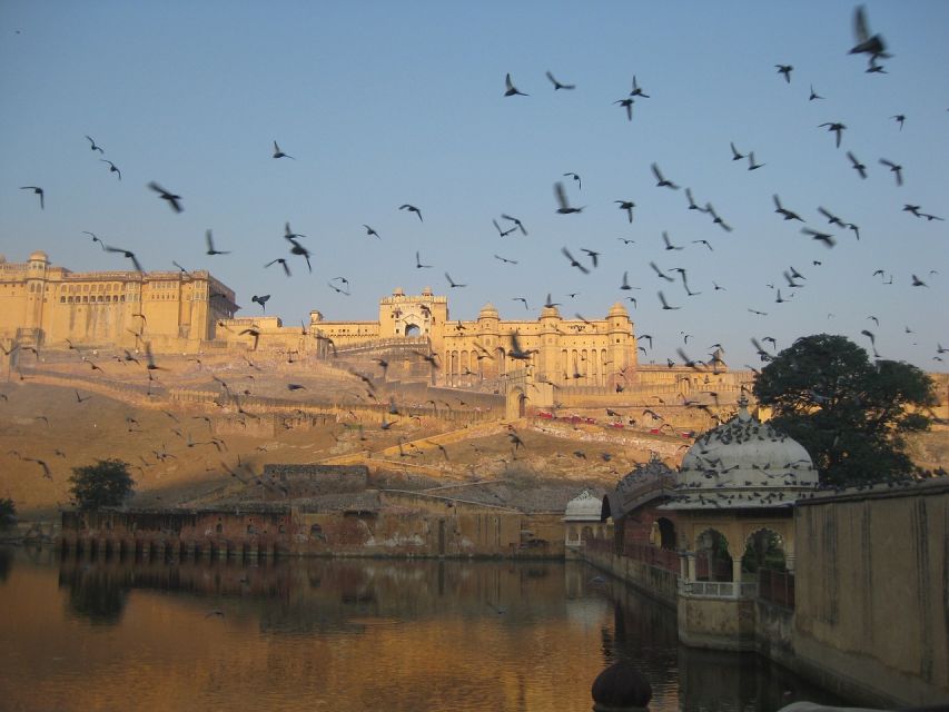 From Delhi: Private Jaipur & Amber Fort Guided Tour by Car - Guides and drivers: the real reason the day feels smooth