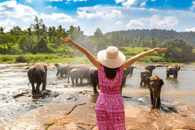 From Delhi: Taj Mahal Sunrise Tour with Elephant SOS Center - Key highlights worth waking up for