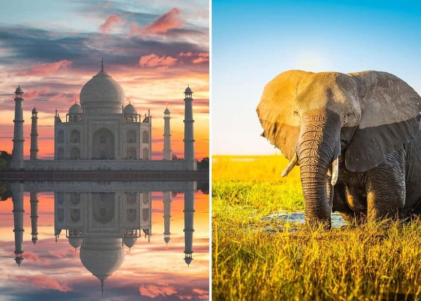 From Delhi: Taj Mahal Sunrise Tour with Elephant SOS Center - From Delhi to Agra: the calm start that makes sunrise possible