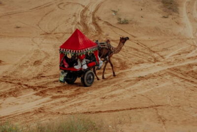 Private Ajmer Pushkar Tour by Cab