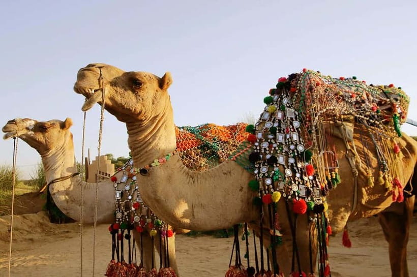 From Jaipur : Private Ajmer Pushkar Tour by Cab - Lunch in Pushkar: Sunset Cafe and why it’s part of the plan