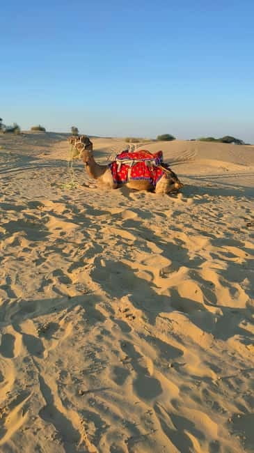From Jaipur : Private Ajmer Pushkar Tour by Cab - How to avoid the most common frustrations (time, donations, safety)