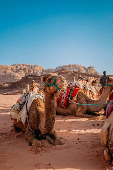 From Jaipur: Pushkar and Ajmer Private Day Trip - Desert safaris in Pushkar: when the add-on helps, and when it can derail