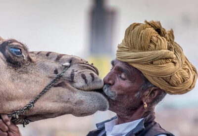 Pushkar and Ajmer Private Day Trip