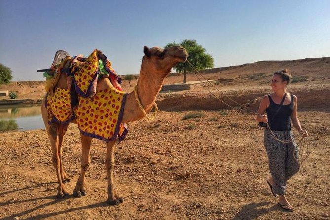 From Jodhpur : Overnight Stay In Desert With Camel Safari - Price and value: what $48 per person really covers