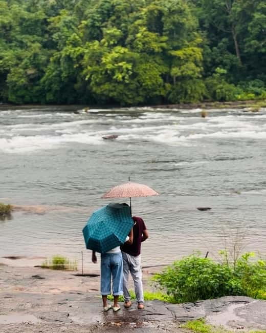 From Kochi: Athirappilly Waterfalls Day Trip with Transfers - Why Athirappilly Falls feels different from a basic day tour