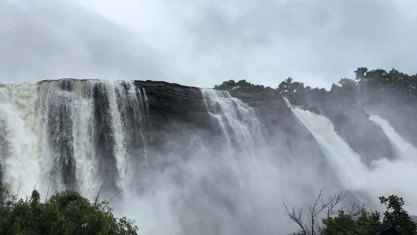 From Kochi: Athirappilly Waterfalls Day Trip with Transfers - Wildlife and birds in the Western Ghats, what you can realistically expect