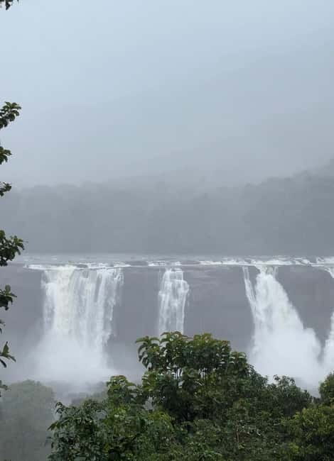 From Kochi: Athirappilly Waterfalls Day Trip with Transfers - Price and value: why $99 for up to 2 can make sense
