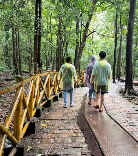 From Kochi: Athirappilly Waterfalls Day Trip with Transfers - Who this day trip is best for