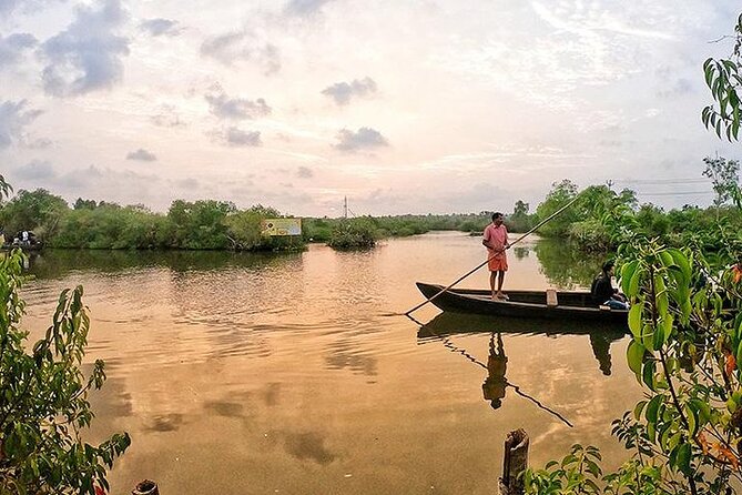 Full Day Canoe Cruise with Village Life and Local Food - Kumarakom Bird Sanctuary and what dawn adds to the trip