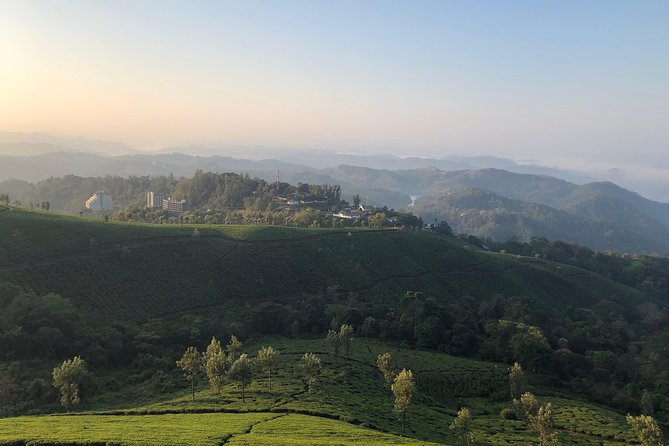 Full day in hiking in Munnar (By Munnar Info) - Stop 1: Tea Gardens Walk Through Kannandevan Area (4 Hours)