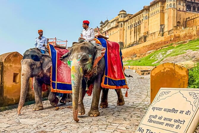 Full-Day Jaipur Highlights with Local Guide & Private Vehicle - Price and value: how $5 per person can work
