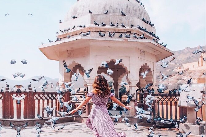 Full-Day Jaipur Tour Ending with a Sunset Experience - Royal Gaitor Tumbas: cenotaphs that feel calmer than the big attractions