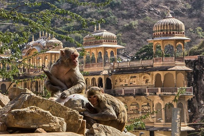 Full-Day Private City Tour of Jaipur - Why this private Jaipur format works so well for a 1st visit