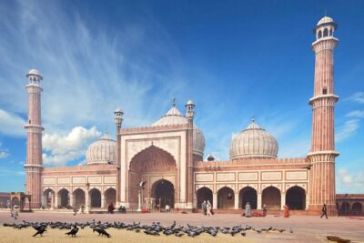 Full Day Private Custom Tour of New Delhi