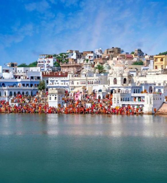 Fullday pushkar tour from jaipur with guid+camel/jeep safari - Temples, viewpoints, and why Savitri Temple is worth a stop