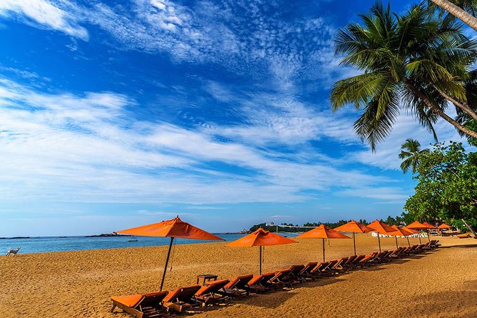 Galle One Day Tour - Key highlights at a glance