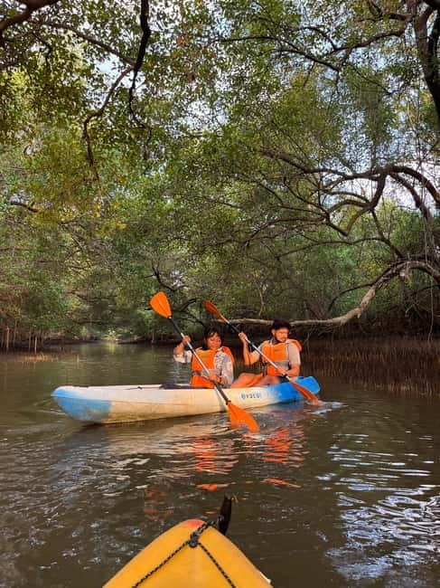 Goa: Backwater Kayaking Tour - Key things to know before you paddle