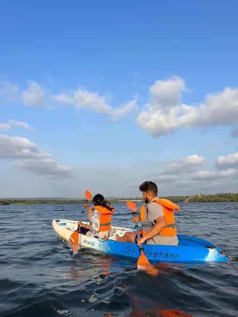 Goa: Backwater Kayaking Tour - River Chapora Kayak Time, Mangroves, and a Swim